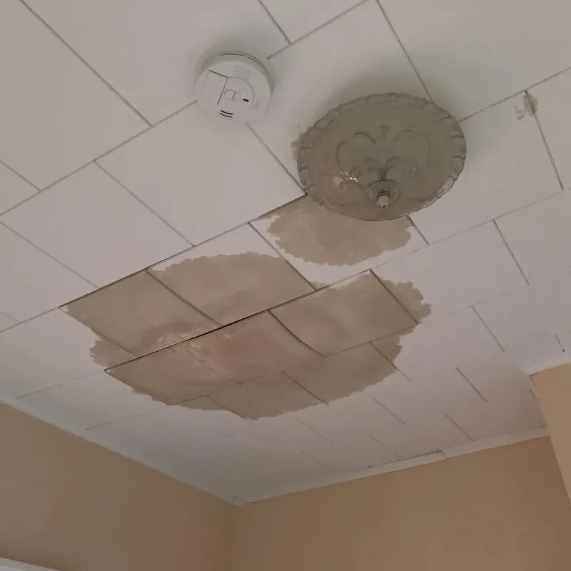 Ceiling Water Damage Repair in Sunbury, PA