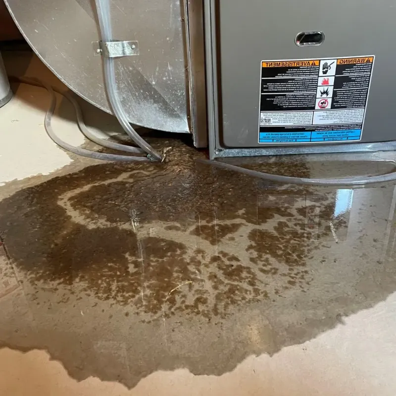 Pipe Burst and Leak Restoration in Sunbury, PA