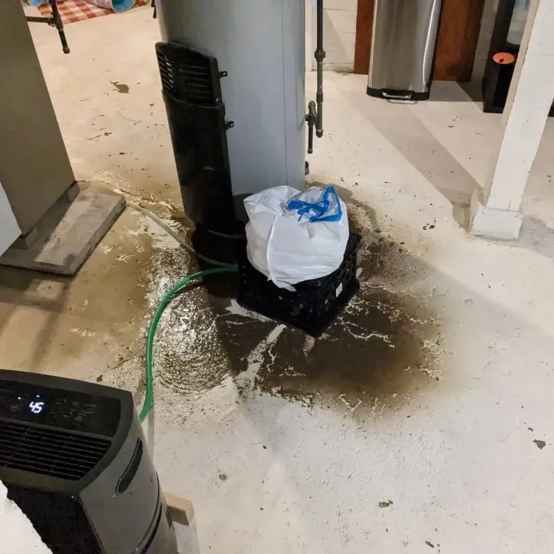 Sewage Backup Cleanup Service in Sunbury, PA